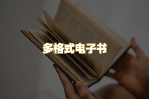多格式电子书